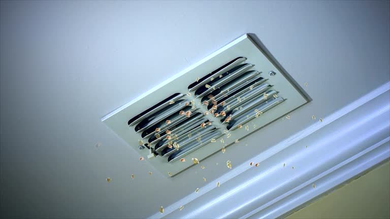 Best Affordable HVAC Duct Cleaning  in Midway South, TX
