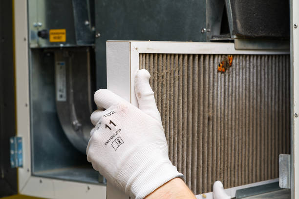 Best Air Duct Sanitizing Services  in Midway South, TX